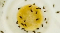 Všetko, čo potrebujete vedieť o živote poškodení v dome